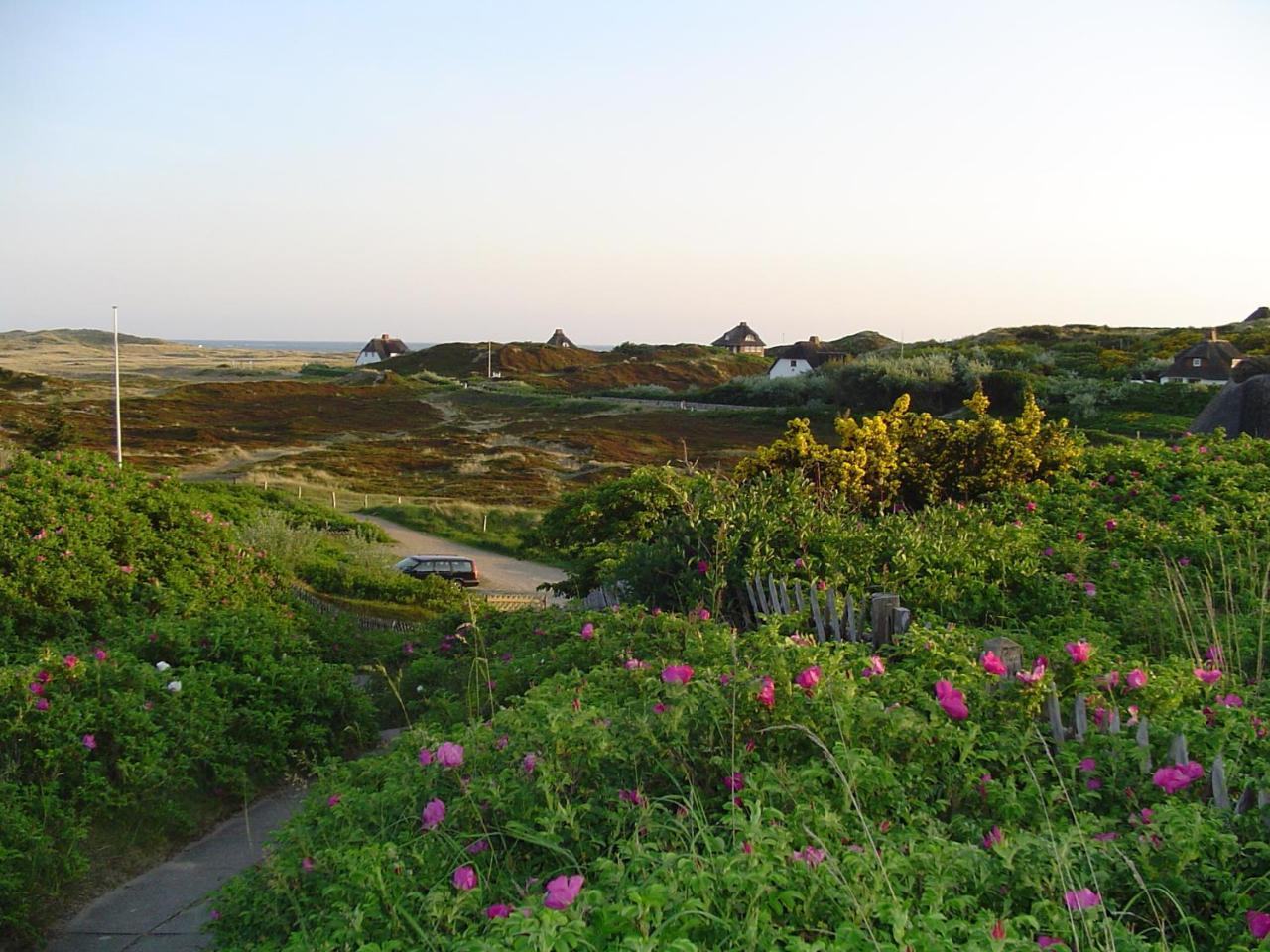 Giebelhaus Frida - Sylt, เวสเทอร์แลนด์ ภายนอก รูปภาพ
